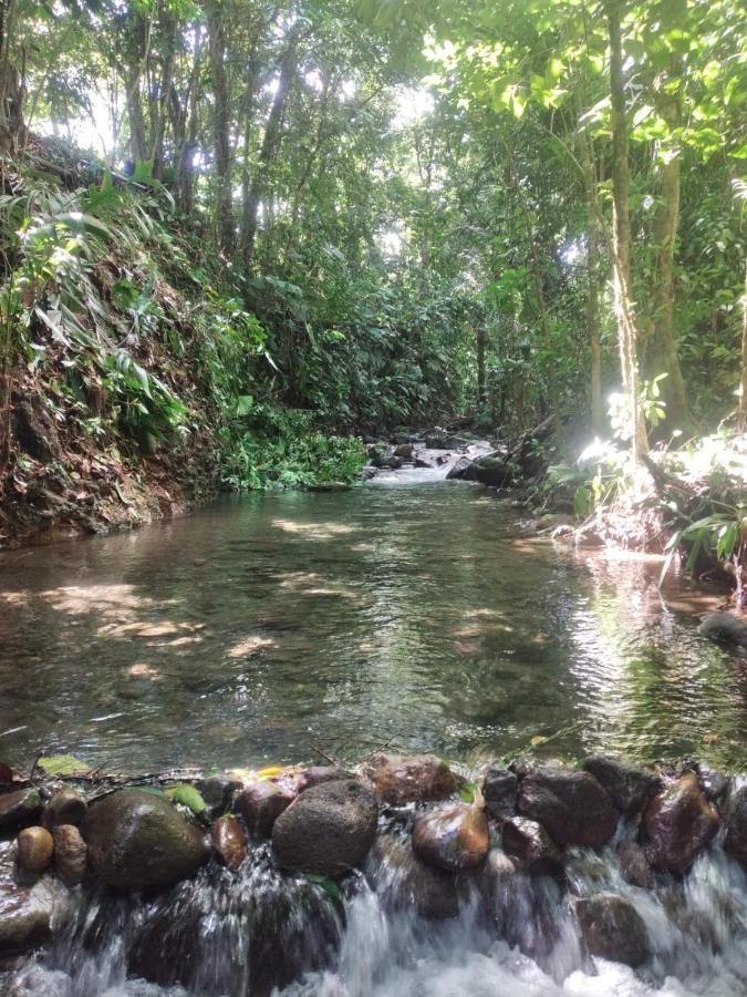 La Fortuna Natural Green Kültér fotó