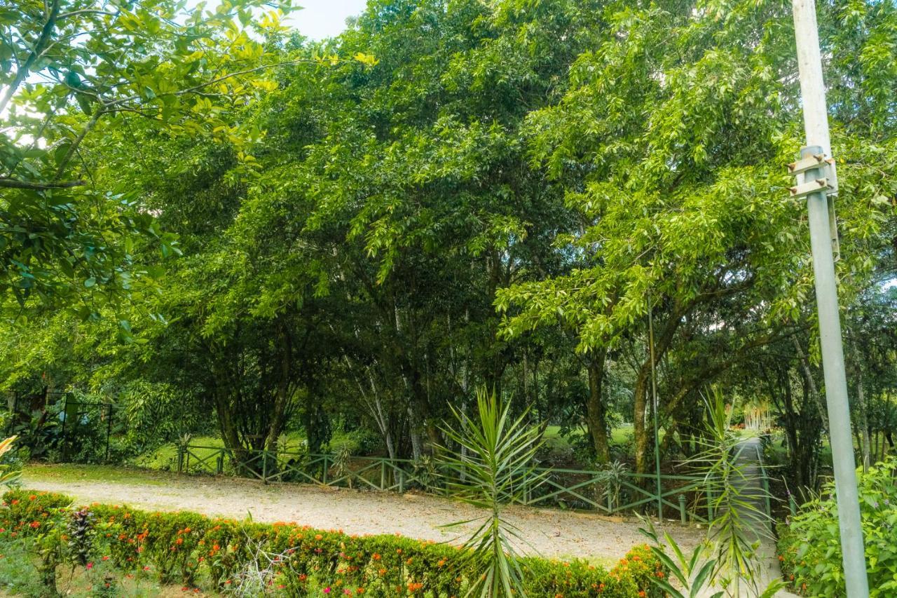 La Fortuna Natural Green Kültér fotó